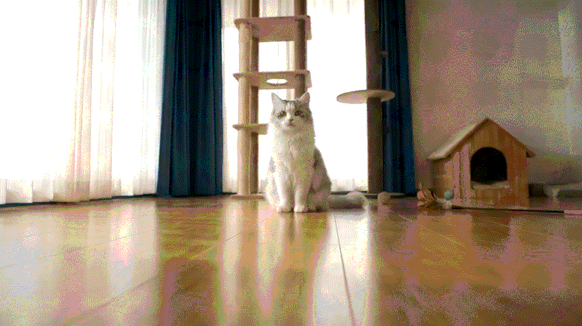 X9%2011.gif