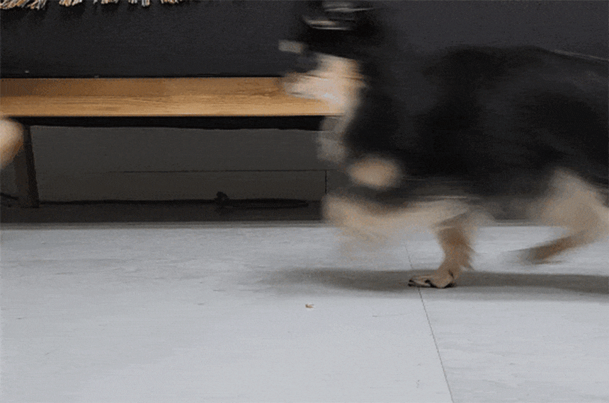 IND_BGX_NTL100_2_06.gif