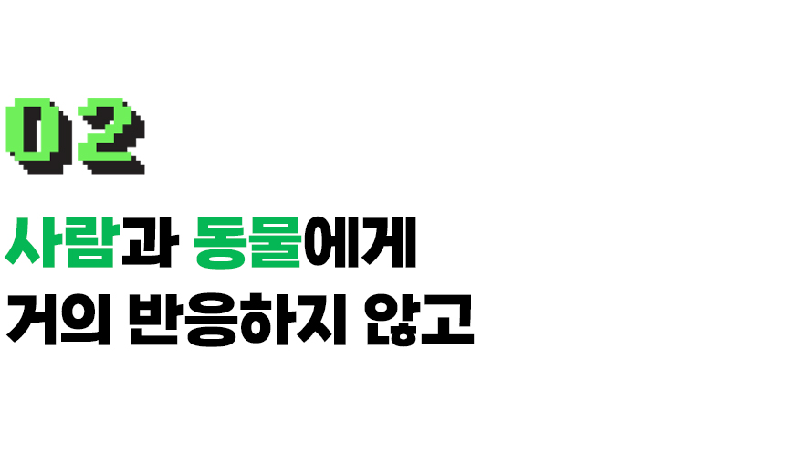 IND_BGX_NTL100_2_36.jpg