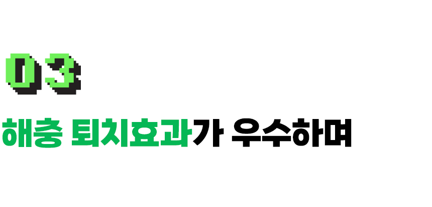 IND_BGX_NTL100_2_38.jpg