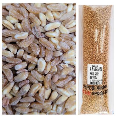 렌틸콩 6.00kg 착한마음 아저씨쌀집