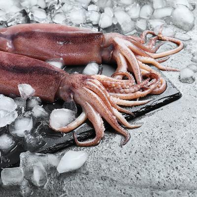 손질 통 오징어 (급냉) 오동통통