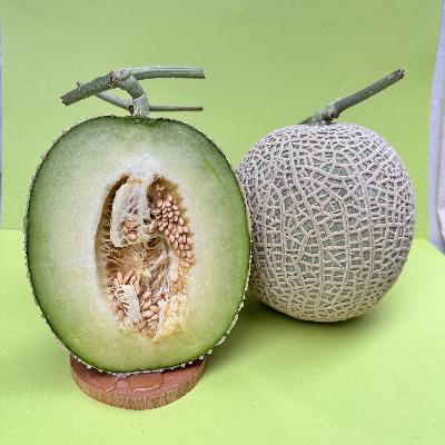 머스크 메론 싱싱하고 달달