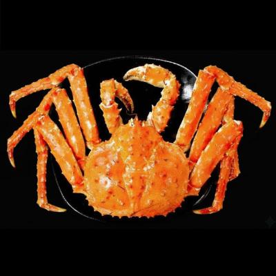 [노량진시장 회픽업서비스] A급 러시아 블루 킹크랩(마리)-싯가