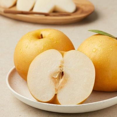 [25년_햇배] 첫출하_과즙가득 원황배 [2kg/소과/4-5과]