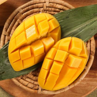 [웰루츠] 냉동 망고 다이스 1kg×2ea