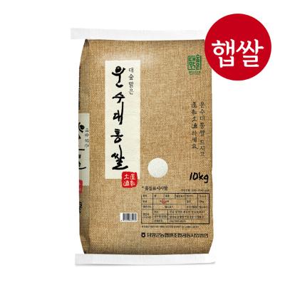 [25년 햅쌀(상등급)] 담양농협 대숲맑은 운수대통쌀 10kg