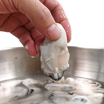 [당일조업] 싱싱한 제철 통영 햇 생굴 1kg 깐굴