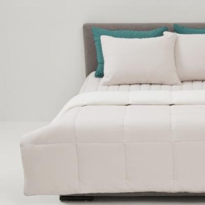  [레노마홈]리튼극세 겨울차렵이불