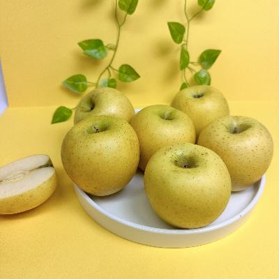 (정품) 시나노골드 사과 중대과 로얄사이즈 (일반포장) 아삭 단단 시나노 3kg / 5kg