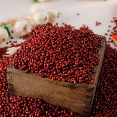 [25년_햇 국산팥 1kg] 토실토실 국산 팥 1kg