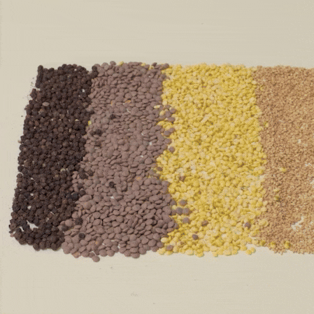 [보아르] 포스A 유선청소기