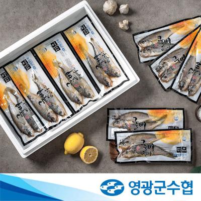 [수협] 법성포 영광 저염 진공 굴비 1.4kg 2.1kg 2.8kg