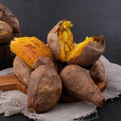 [2025년] 해남 햇 꿀밤고구마 3kg 5kg