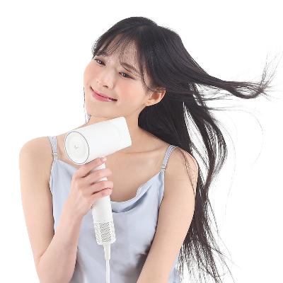 [파비스] 에어빔 BLDC 드라이기 PVS-D110