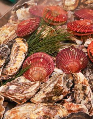 산지직송 제철 가리비1kg+석화3kg 세트