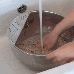 [바겐슈타이거] 멀티 워시볼 24cm