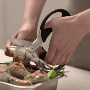 [바겐슈타이거] 아크트 가위