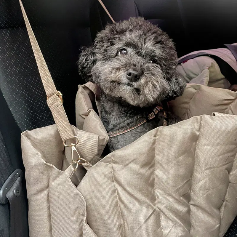 레모토 강아지 카시트 애견 반려견 카시트 드라이빙킷 펫무빙