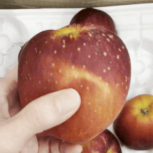 [로얄과] 부사 황금사과 피치사과 (엔부) 사과 가정용 꿀사과 2.5kg 9~12과 가성비 못난이