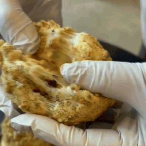 [바이블룸] 신상 호두감자빵 10개입 보냉백