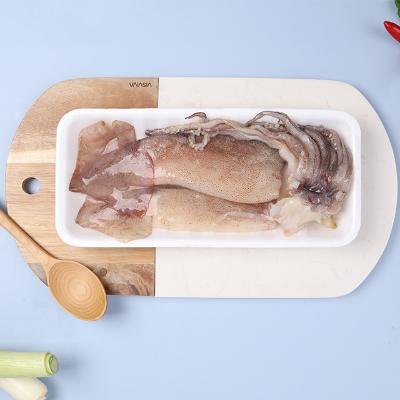 자연산 손질 통오징어 320g x 3팩 (6마리)