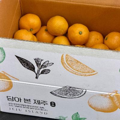 삼다명품 제주서귀포 노지감귤 3~5kg 로얄과