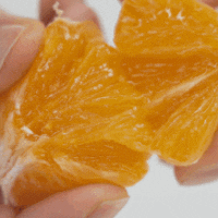 [신품종] 제주 프리미엄 특수품종 우리향 고당도 한정판매 직거래 (1kg/2kg/3kg)