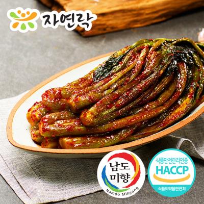 [자연락 남도김치] 갓김치 3kg
