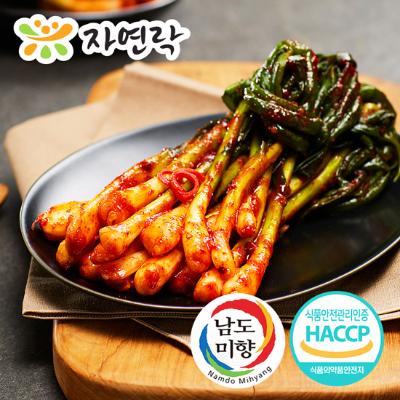 [자연락 남도김치] 파김치 2kg