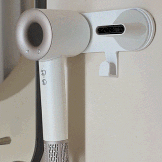 [블라우풍트] BLDC 에어홀 에어이지 헤어드라이기 (색상/택1)