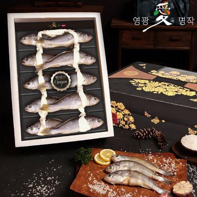 [영광애명작] 법성포 참굴비 실속특선
