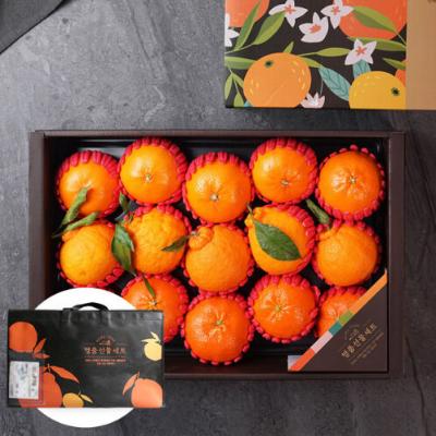 [제주 만감류] 혼합과일세트(레드향+천혜향+한라봉 총15-18과) 4.5kg