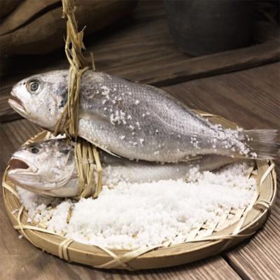 [영광굴비] 명품 오가굴비 10미 [1.1kg-1.4kg]