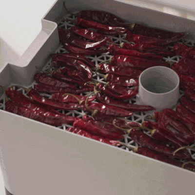 [공동구매][리큅] 대용량 8단 식품건조기 고추 과일 야채 LD-918BH