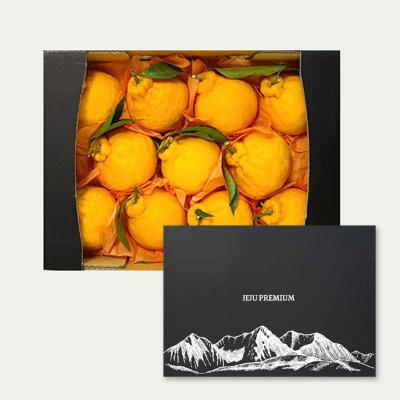 [정성담은] 산지직송 제주 한라봉 2.5kg~4.5kg 선물세트