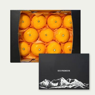 [정성담은] 산지직송 제주 천혜향 2.5kg~4.5kg