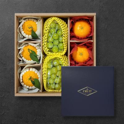 [산지직송] 알찬 한라봉/레드향/샤인머스켓 선물세트