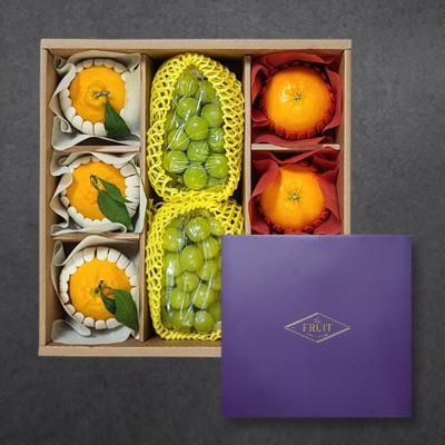 [정성담은] 명품 한라봉/레드향/샤인머스켓 선물세트