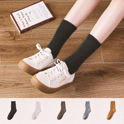 남녀공용 겨울 테리소재 보온양말(5켤레)