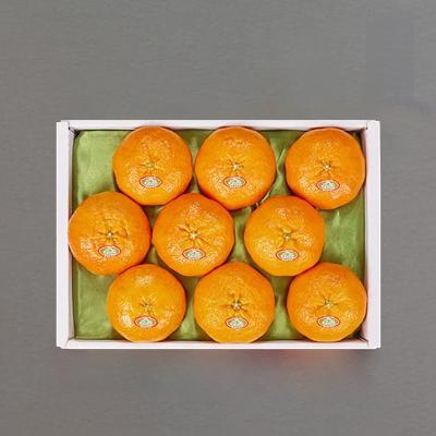 [산해미식]제주 레드향 선물세트 대과 3kg/8~12과 개당 250~375g