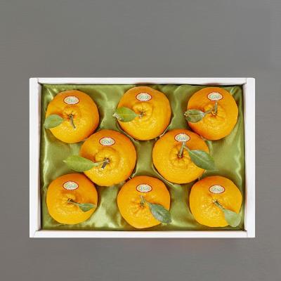 [산해미식]제주 한라봉 선물세트 대과 3kg/8~12과 개당 300~375g