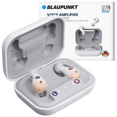 [블라우풍트] 음성증폭기 BLP-VA260W