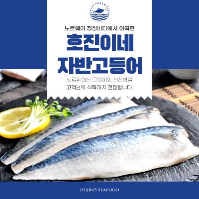 100% 수작업 손질 호진이네 노르웨이산 자반고등어 손질고등어 간고등어  大 1손(2마리)~5손(10마리)