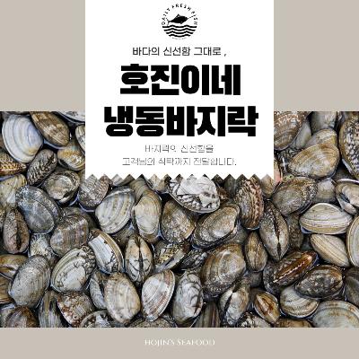 호진이네 냉동 바지락 피바지락 급냉 세척 1kg~5kg