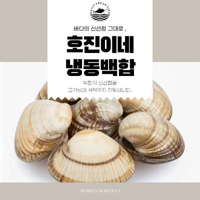 호진이네 백합조개 해감된 급냉 백합 조개찜 탕 봉골레 파스타 1팩1kg~5팩5kg