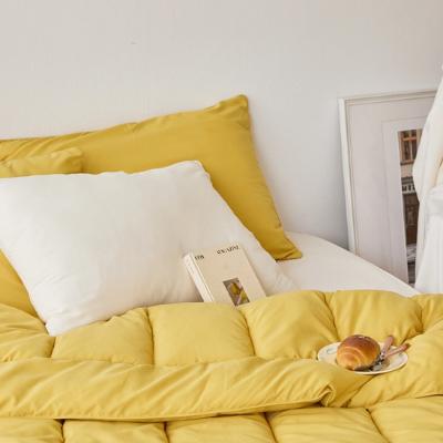 [드리울] 소프티 피치스킨 차렵이불 단품 (사이즈/색상 택1)