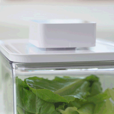 [VAKUEN] 스마트 스타터 5종 세트