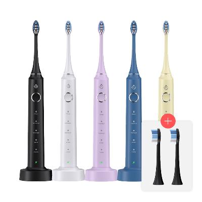 [에코너] MS2 티스프로 IPX7 무선 음파 전동칫솔 (전용하드케이스/충전독)