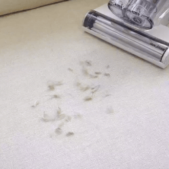 ★공동구매★[아토케어]듀얼스톰 침구청소기 EP-BVC-P810